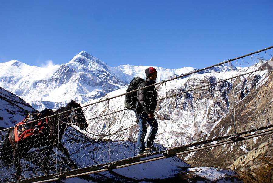 A trekker crossing a suspension bridge near Manang